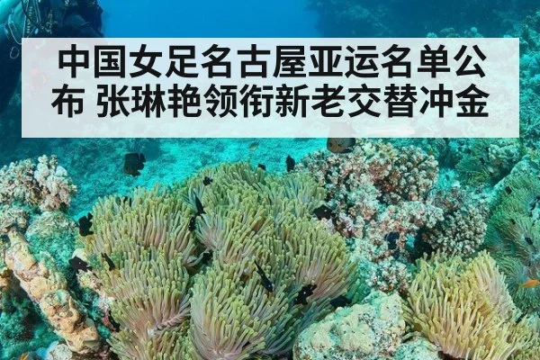 中国女足名古屋亚运名单公布 张琳艳领衔新老交替冲金